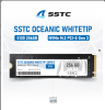 sstc-oceanic-whitetip-e130-256gb-m-2-2280-pcie-nvme-gen-3-new-bh-36-thang - ảnh nhỏ  1